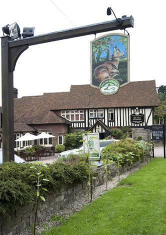 Roebuck By Greene King Inns Forest Row Kültér fotó